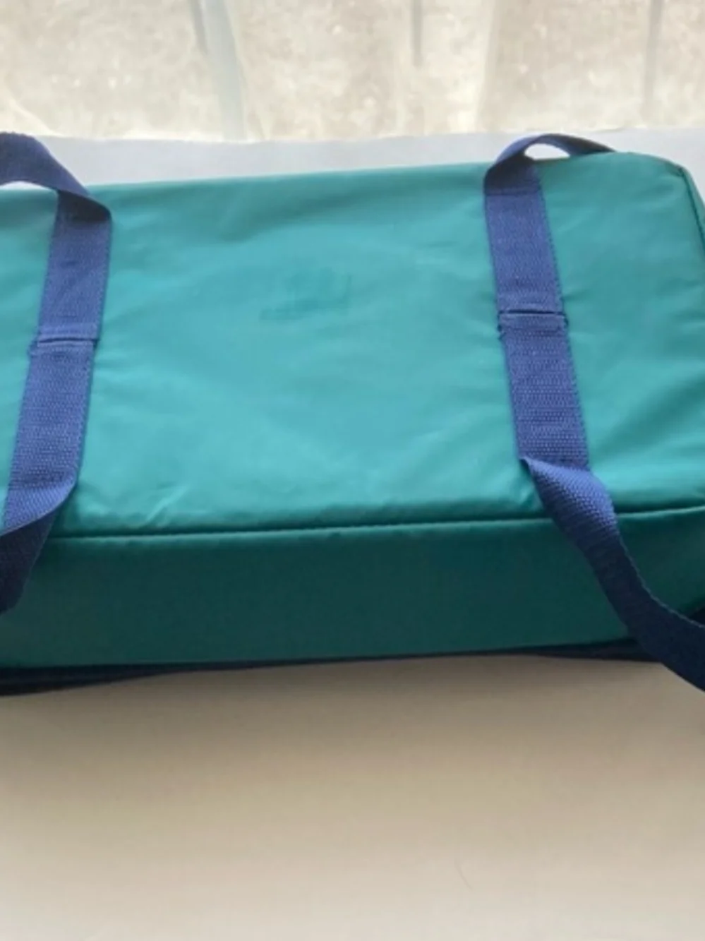 Pyrex Teal Portable Cooler Bag with Navy Accent